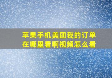 苹果手机美团我的订单在哪里看啊视频怎么看