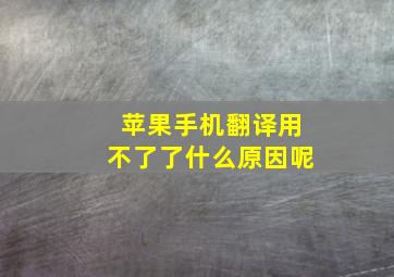 苹果手机翻译用不了了什么原因呢