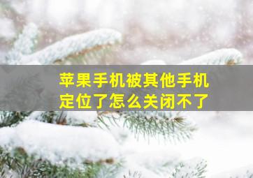 苹果手机被其他手机定位了怎么关闭不了