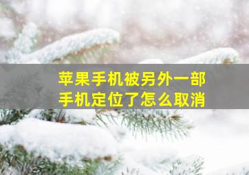 苹果手机被另外一部手机定位了怎么取消