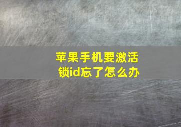 苹果手机要激活锁id忘了怎么办