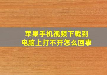 苹果手机视频下载到电脑上打不开怎么回事