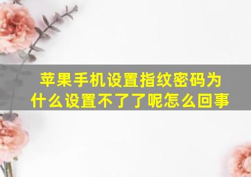 苹果手机设置指纹密码为什么设置不了了呢怎么回事