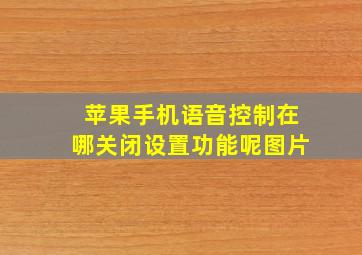 苹果手机语音控制在哪关闭设置功能呢图片