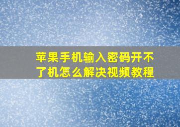 苹果手机输入密码开不了机怎么解决视频教程