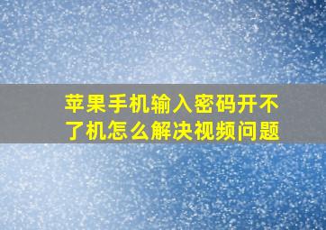 苹果手机输入密码开不了机怎么解决视频问题