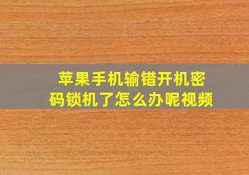 苹果手机输错开机密码锁机了怎么办呢视频