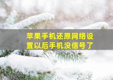 苹果手机还原网络设置以后手机没信号了