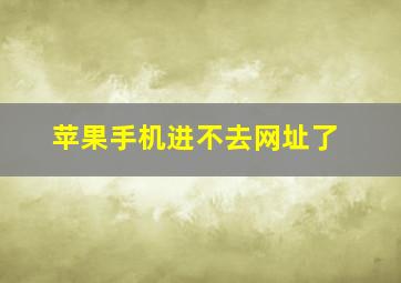 苹果手机进不去网址了