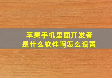 苹果手机里面开发者是什么软件啊怎么设置