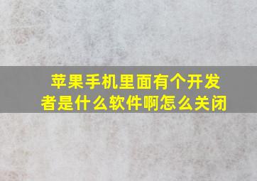 苹果手机里面有个开发者是什么软件啊怎么关闭