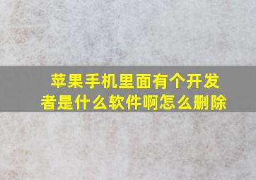 苹果手机里面有个开发者是什么软件啊怎么删除