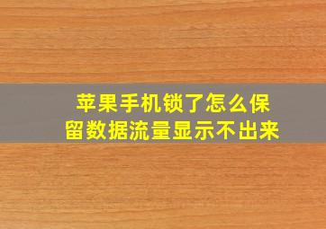 苹果手机锁了怎么保留数据流量显示不出来