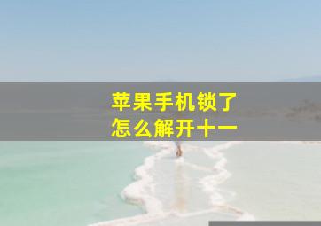 苹果手机锁了怎么解开十一