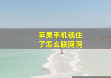 苹果手机锁住了怎么联网啊