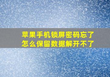 苹果手机锁屏密码忘了怎么保留数据解开不了