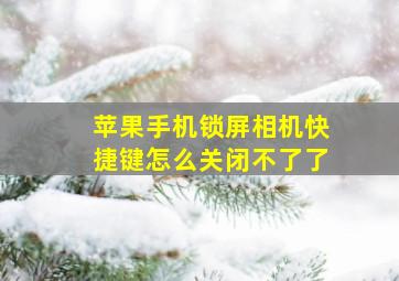 苹果手机锁屏相机快捷键怎么关闭不了了