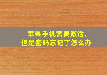 苹果手机需要激活,但是密码忘记了怎么办