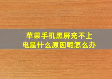 苹果手机黑屏充不上电是什么原因呢怎么办