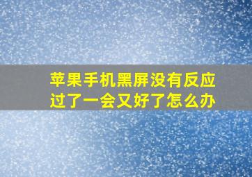 苹果手机黑屏没有反应过了一会又好了怎么办