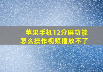 苹果手机12分屏功能怎么操作视频播放不了