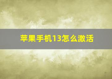 苹果手机13怎么激活