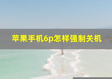 苹果手机6p怎样强制关机