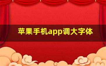 苹果手机app调大字体