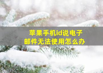 苹果手机id说电子邮件无法使用怎么办