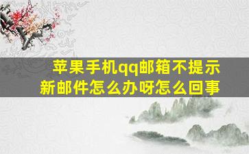 苹果手机qq邮箱不提示新邮件怎么办呀怎么回事