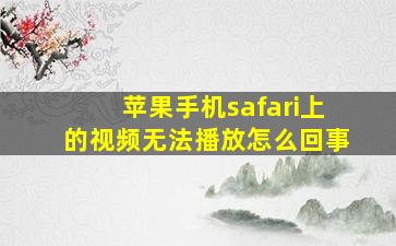 苹果手机safari上的视频无法播放怎么回事