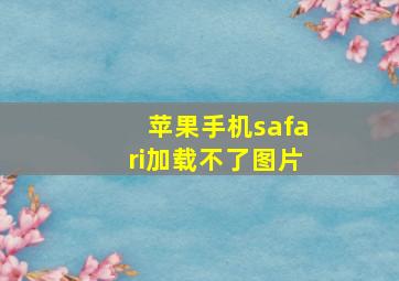 苹果手机safari加载不了图片