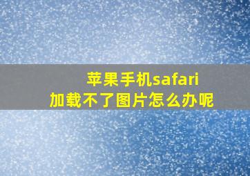 苹果手机safari加载不了图片怎么办呢