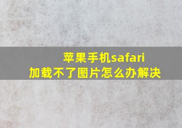 苹果手机safari加载不了图片怎么办解决