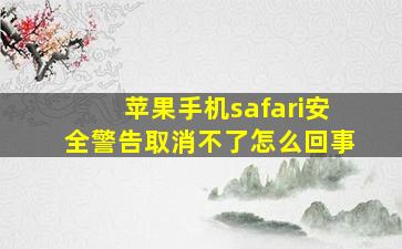 苹果手机safari安全警告取消不了怎么回事