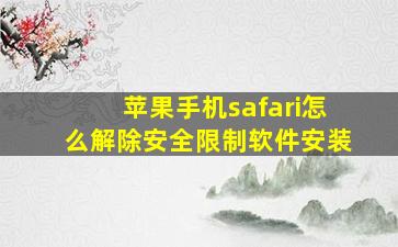 苹果手机safari怎么解除安全限制软件安装