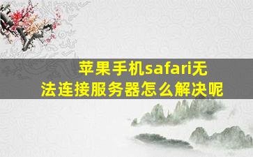 苹果手机safari无法连接服务器怎么解决呢