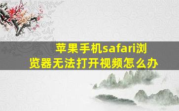 苹果手机safari浏览器无法打开视频怎么办