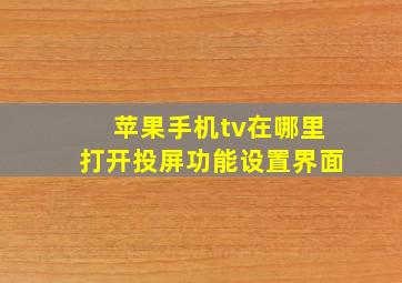 苹果手机tv在哪里打开投屏功能设置界面