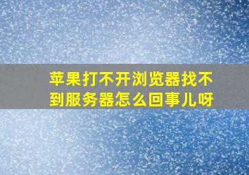 苹果打不开浏览器找不到服务器怎么回事儿呀