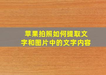 苹果拍照如何提取文字和图片中的文字内容