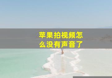 苹果拍视频怎么没有声音了