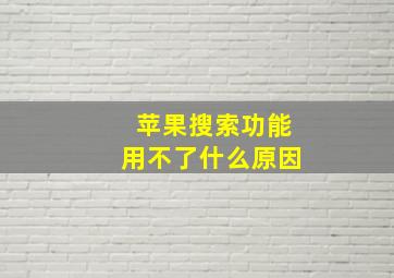 苹果搜索功能用不了什么原因