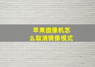 苹果摄像机怎么取消镜像模式