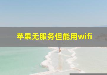 苹果无服务但能用wifi