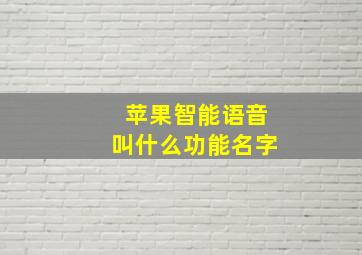 苹果智能语音叫什么功能名字