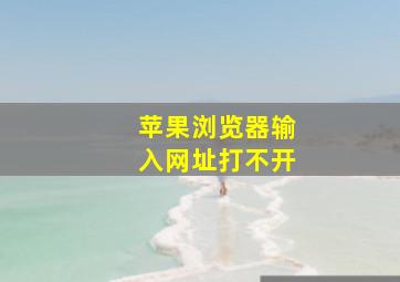 苹果浏览器输入网址打不开