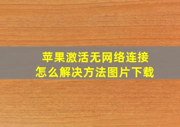 苹果激活无网络连接怎么解决方法图片下载