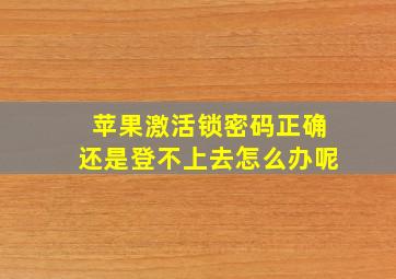 苹果激活锁密码正确还是登不上去怎么办呢