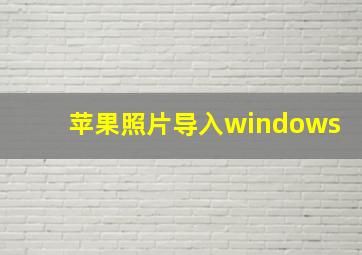 苹果照片导入windows